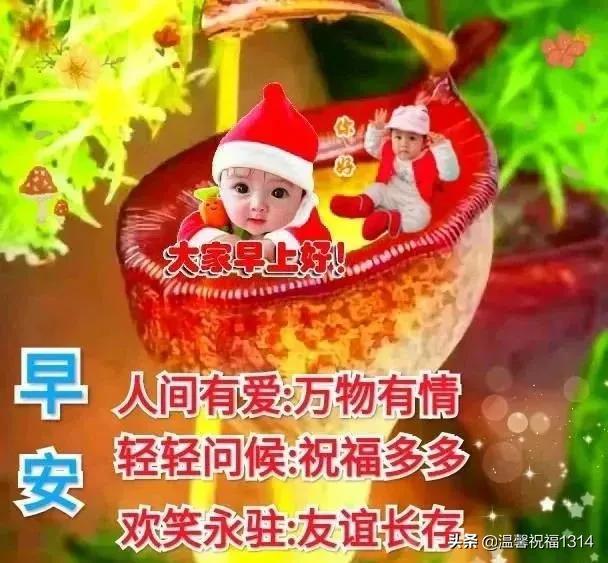 最新早上好圖片，背景、影響與地位