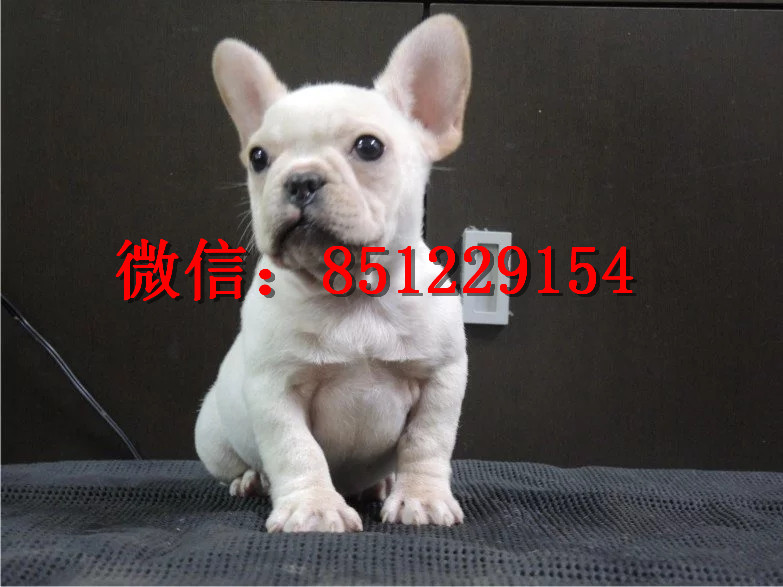 辦公設(shè)備耗材銷售 第202頁