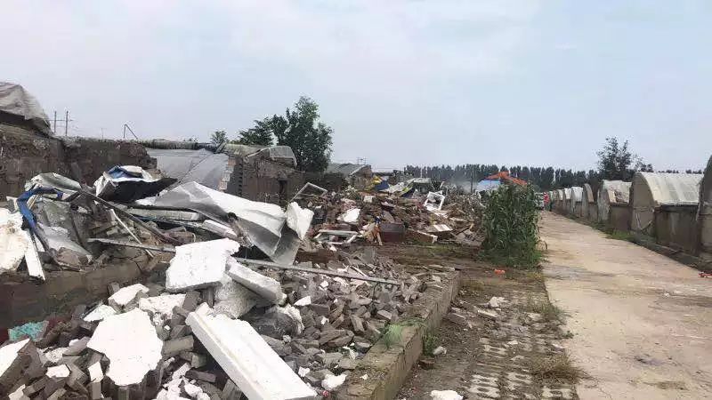 楊鎮(zhèn)拆遷最新動態(tài)，科技引領重塑，開啟拆遷新篇章體驗