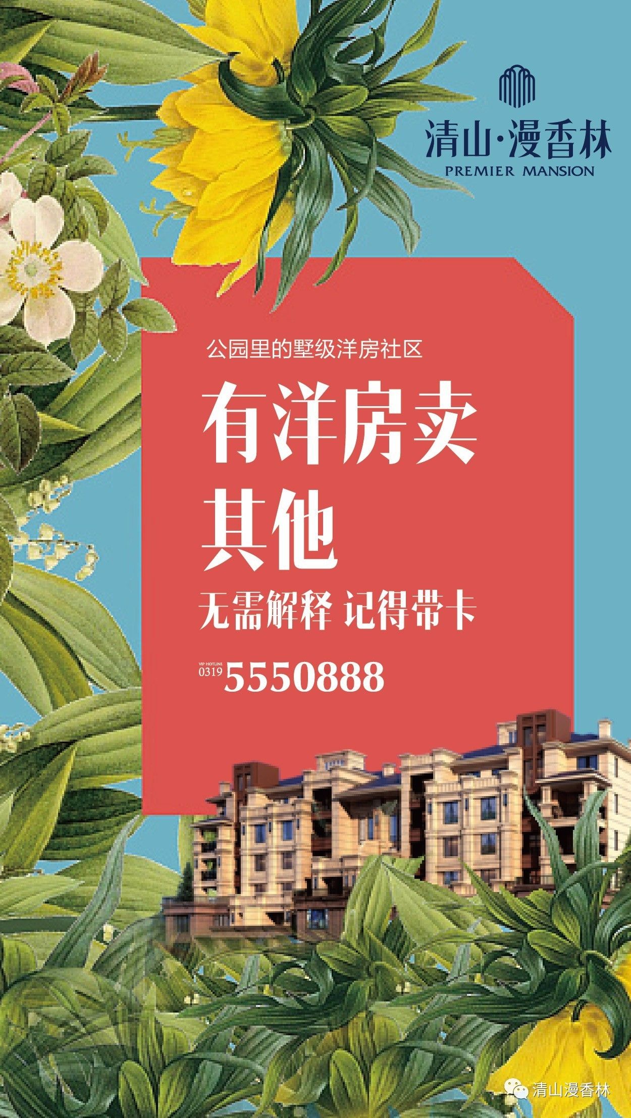 清山漫香林最新動態(tài)，友情、家庭與溫馨的日常
