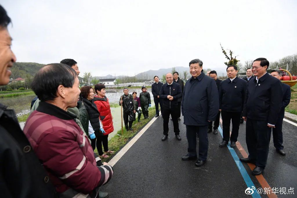 至2025年，馬中林最新動(dòng)態(tài)與未來發(fā)展趨勢解析