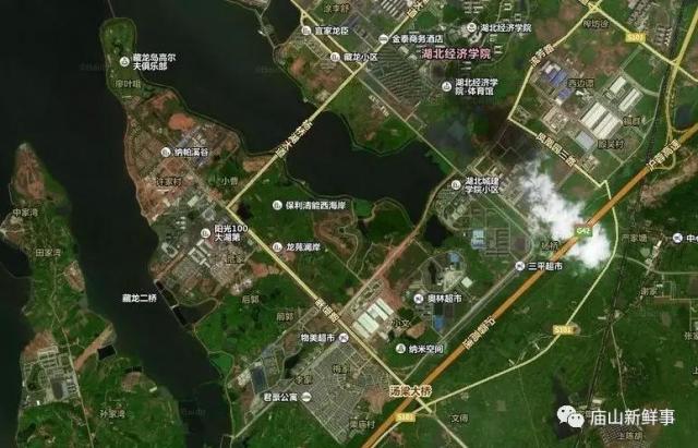 藏龍島二小最新動(dòng)態(tài)揭秘，小巷特色小店探秘之旅