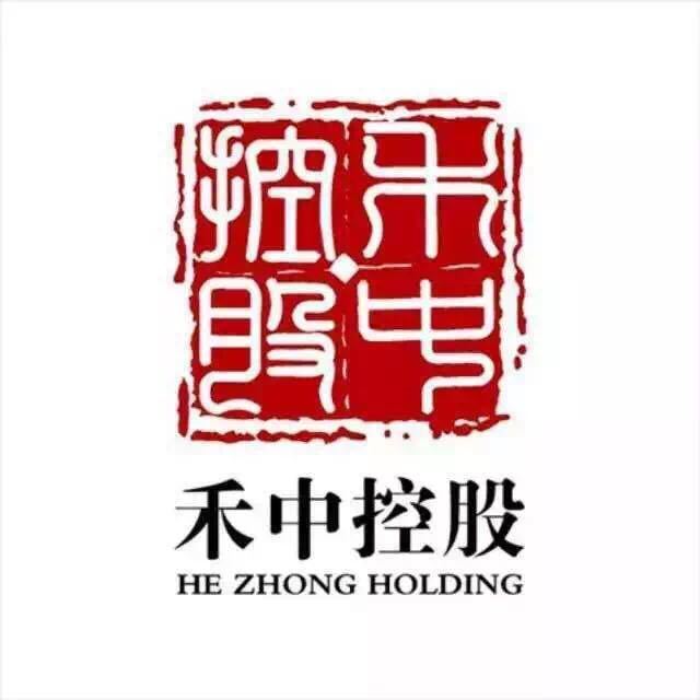 禾中控股集團(tuán)最新消息概覽，權(quán)威指南發(fā)布