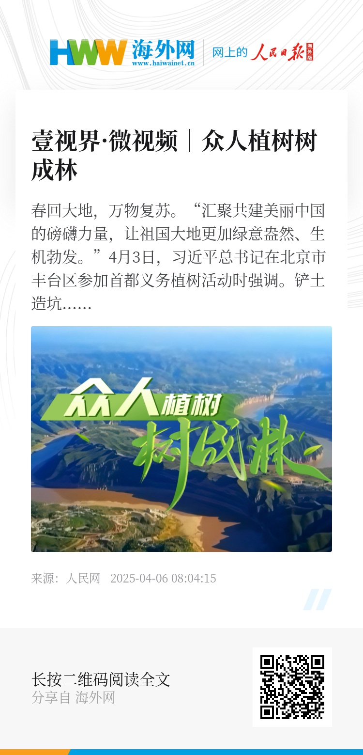長青樹眾籌最新動(dòng)態(tài)，小巷驚喜與特色小店的獨(dú)特魅力探索