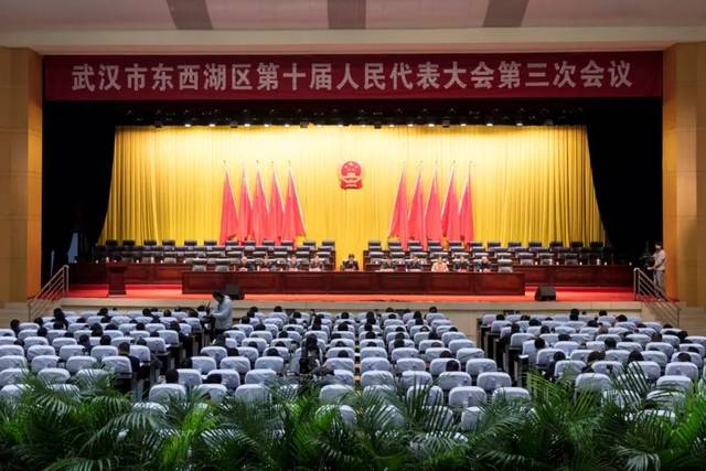 東西湖區(qū)最新任免，人事變動(dòng)的觀點(diǎn)闡述與解析