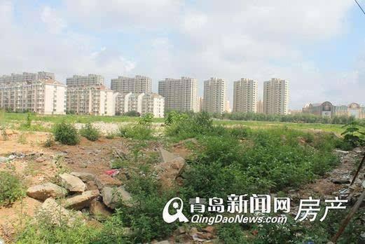 李滄楊哥莊最新動(dòng)態(tài)，科技引領(lǐng)生活，智能新品體驗(yàn)未來