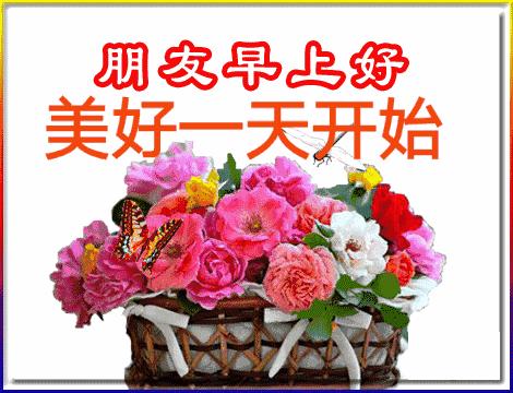 五福碰胡最新版下載，變化、學(xué)習(xí)與自信的力量之源