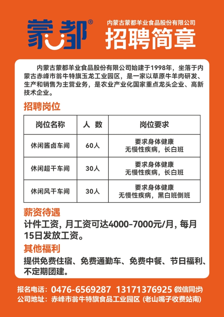 萊蕪金點子最新招聘信息港，科技驅(qū)動職業(yè)夢想，崗位觸手可及